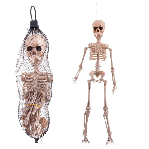 Picture of HANGING SKELETON 6X8X25CM